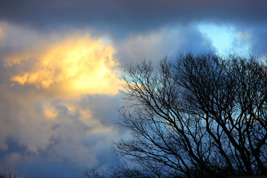 Stormy sky with tree