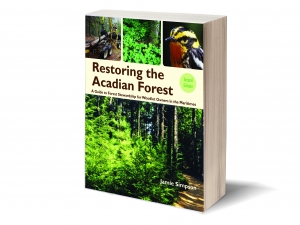 Restoring the Acadian Forest