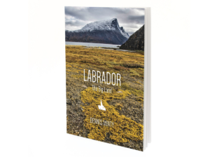review-labrador-big-land-cover