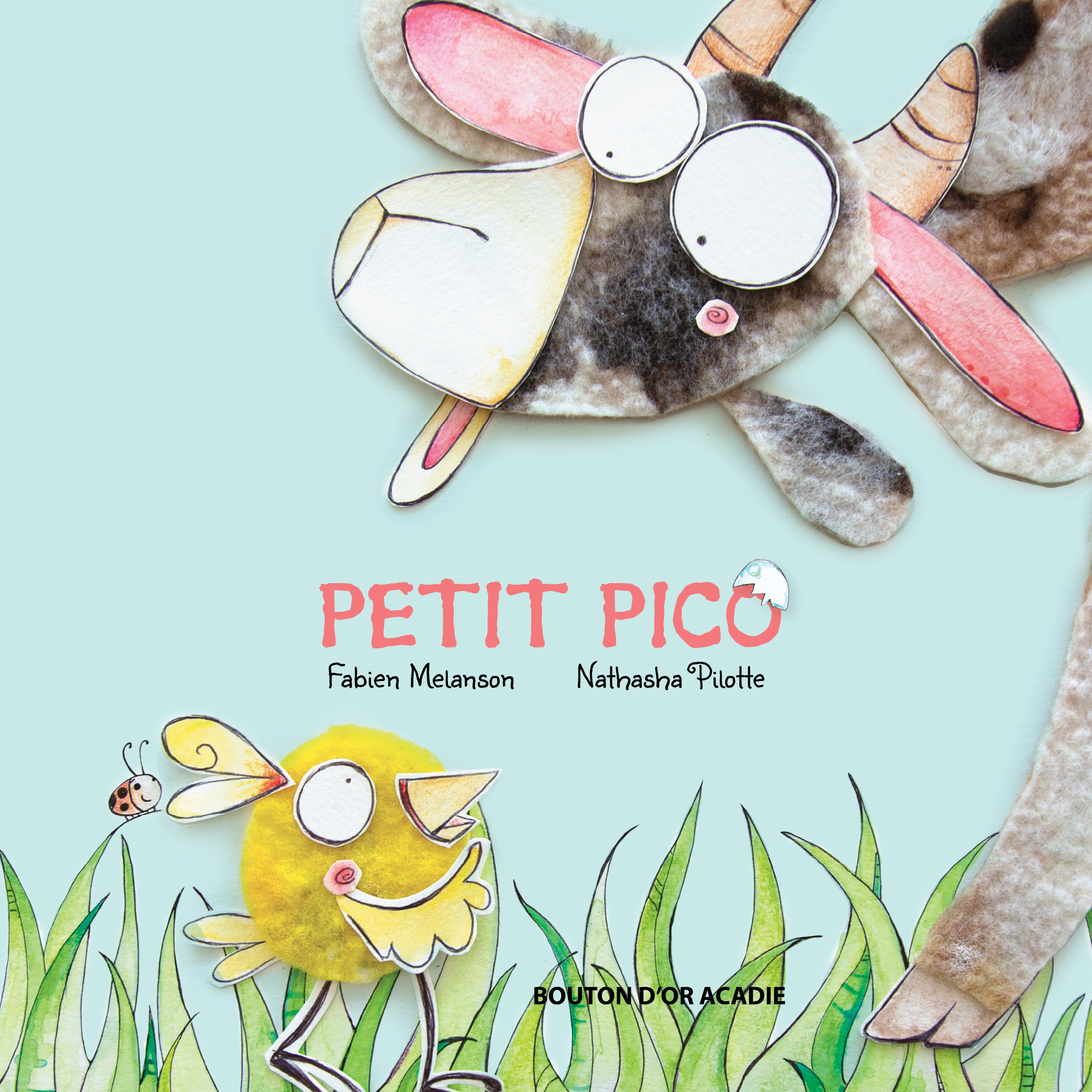 Petit Pico image couverture
