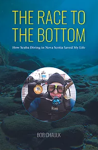 Cover image for The Race to the Bottom