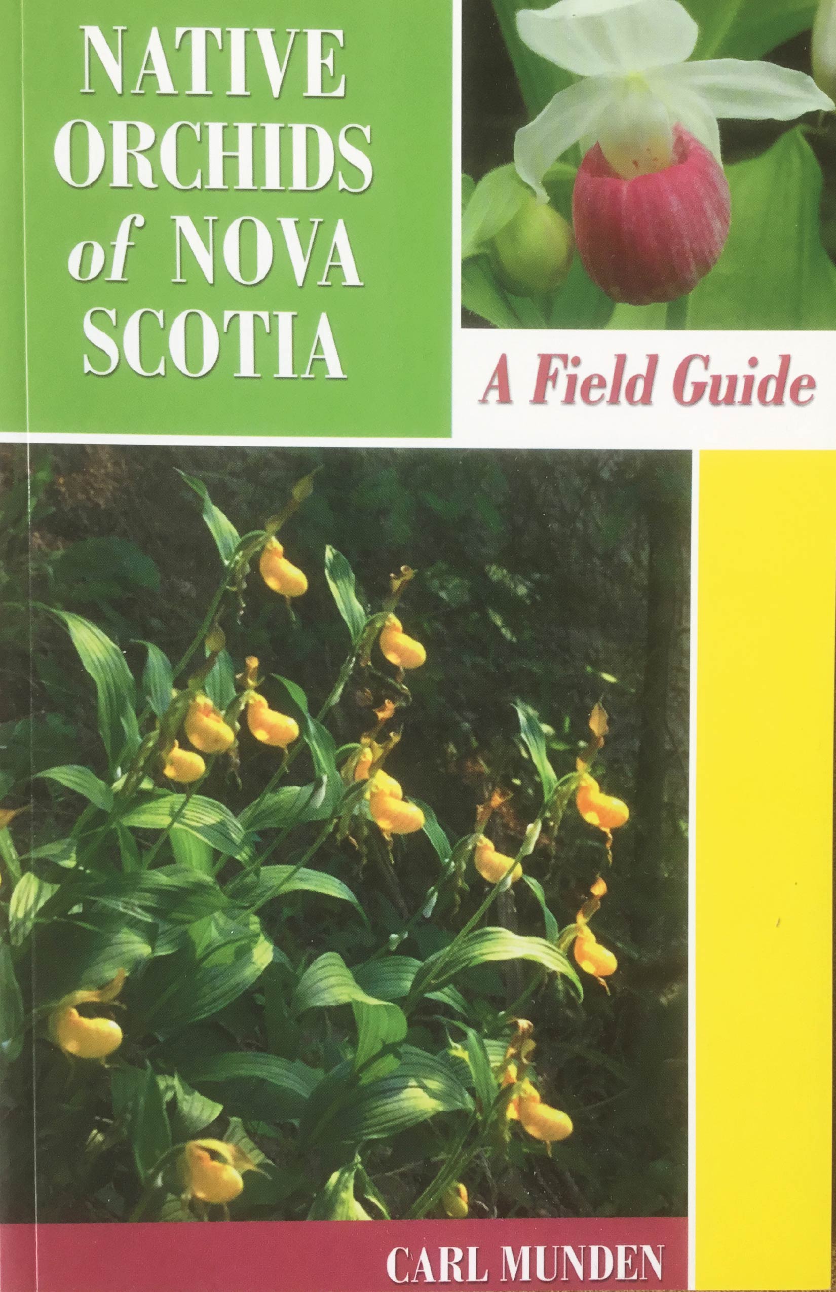 Staff Picks: 3 Guides to Nature’s Bounty