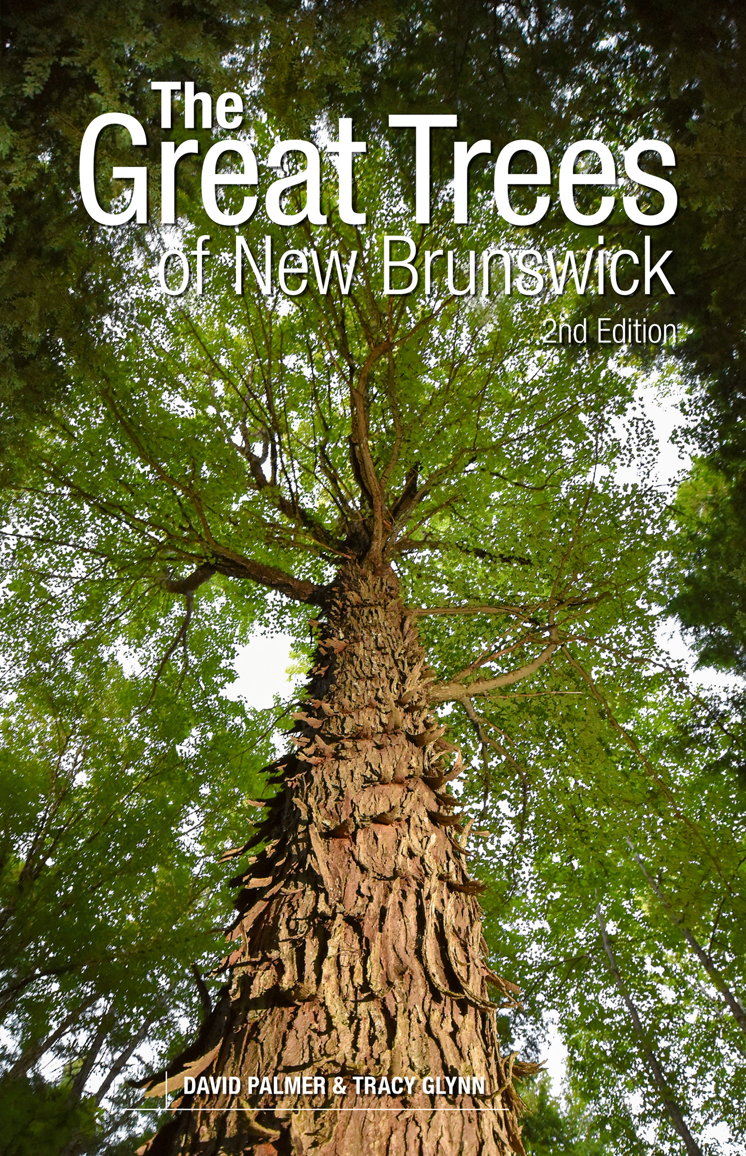 Great Trees of New Brunswick, 2nd Edition